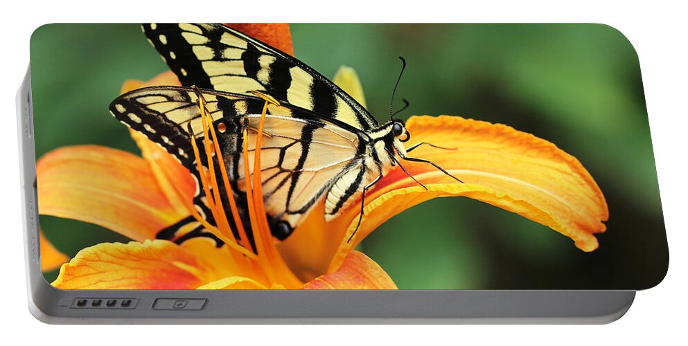 Butterfly Portable Battery Charger featuring the photograph Tiger Swallowtail Butterfly On Daylily by Carol Senske