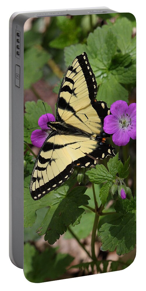 Tiger Swallowtail Butterfly On Geranium Portable Battery Charger featuring the photograph Tiger Swallowtail Butterfly On Geranium by Daniel Reed