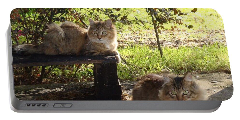 Barn Cats Portable Battery Charger featuring the photograph Timber and Cougar by Barbie Batson