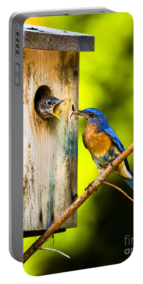 Bluebird Portable Battery Charger featuring the photograph Time to Fly by Ronald Lutz