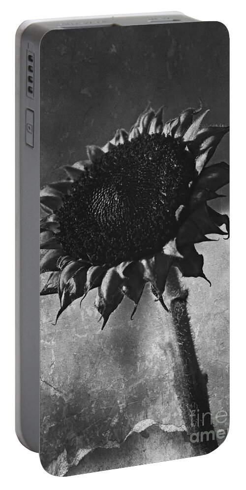 Sunflowers Portable Battery Charger featuring the photograph Time To Say Goodbye by Clare Bevan