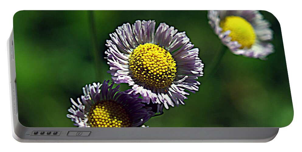 Flower Portable Battery Charger featuring the photograph Tiny Little Weed by Bob Johnson