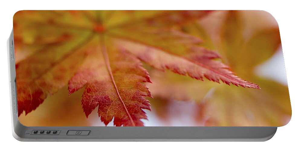 Autumn Leaves Portable Battery Charger featuring the photograph Tip by Caitlyn Grasso