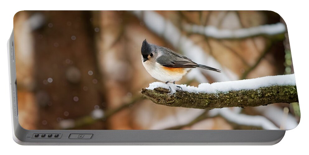 Michigan Portable Battery Charger featuring the photograph Titmouse in Winter by Lars Lentz