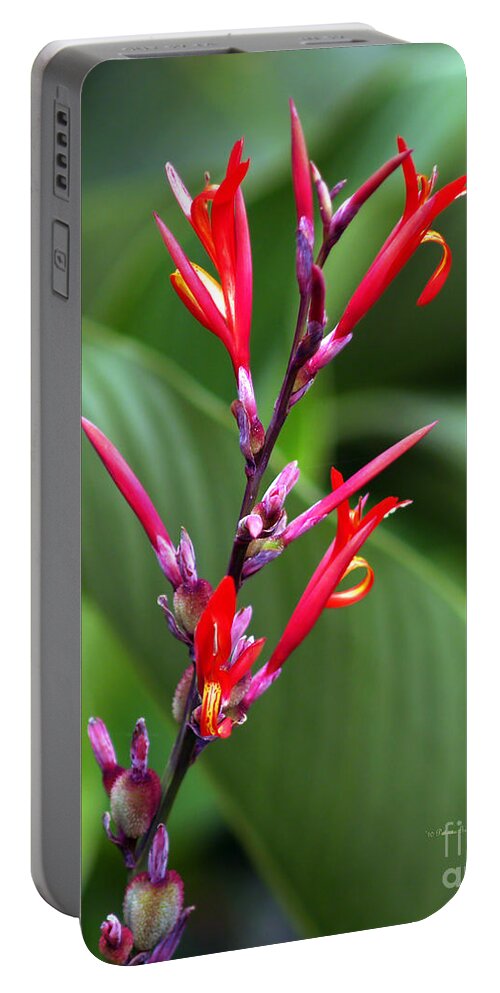 Fine Art Photography Portable Battery Charger featuring the photograph Tongues of Flame by Patricia Griffin Brett