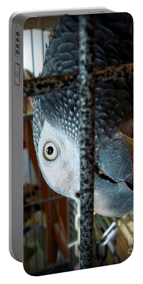 Bird Portable Battery Charger featuring the photograph Topsy Turvy World by Renee Trenholm