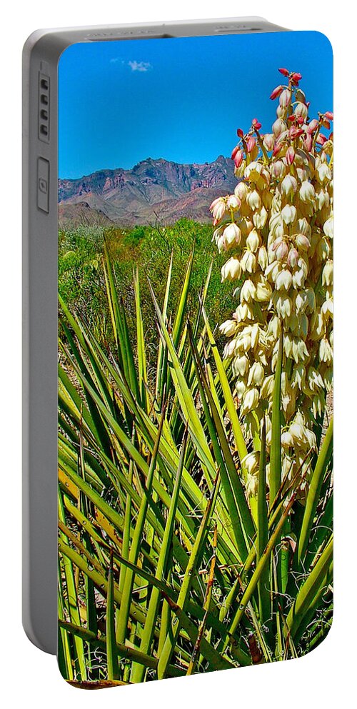 Torrey Yucca On Chihuahuan Desert Nature Trail In Big Bend National Park Portable Battery Charger featuring the photograph Torrey Yucca on Chihuahuan Desert Nature Trail in Big Bend National Park-Texas by Ruth Hager