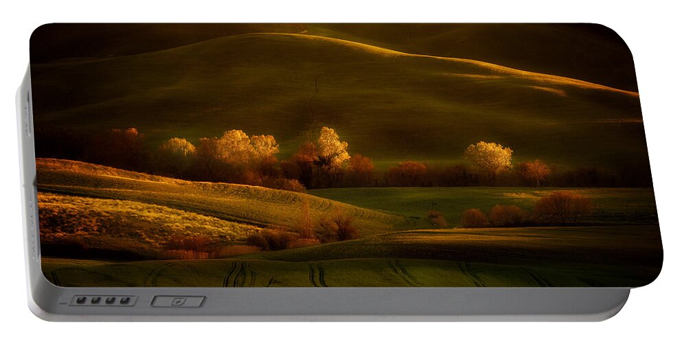 Toskany Portable Battery Charger featuring the photograph Golden fields of val d'Orcia by Jaroslaw Blaminsky