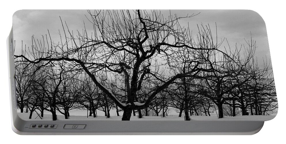 Orchard Portable Battery Charger featuring the photograph Tower Hill Winter Orchard by Michael Saunders