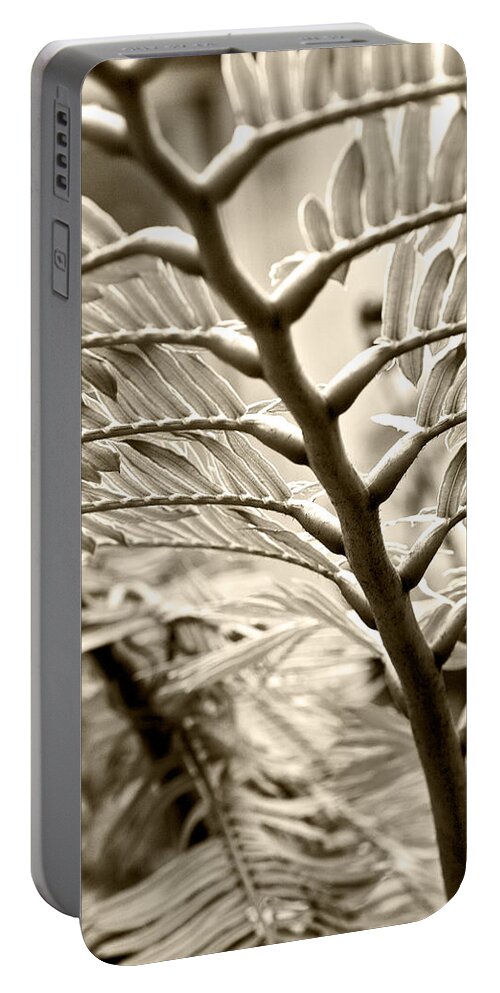 Botanical Portable Battery Charger featuring the photograph Translucidity by Melinda Ledsome