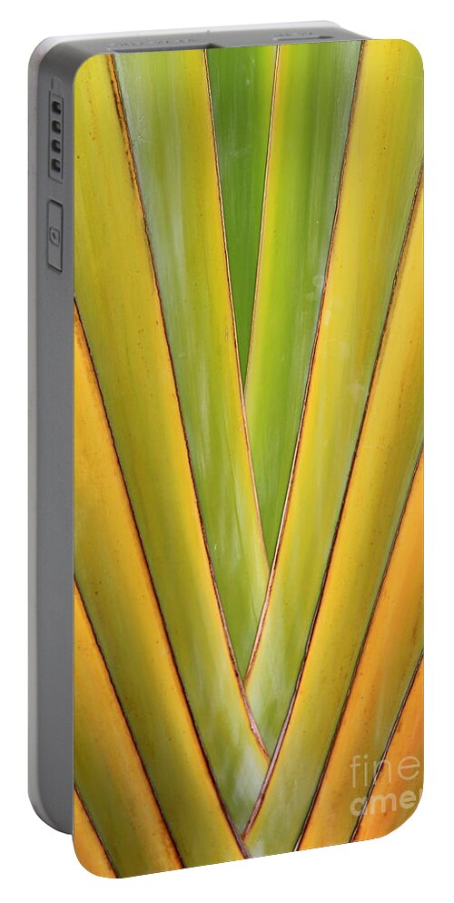 Traveler's Palm Portable Battery Charger featuring the photograph Travellers Palm Abstract by Teresa Zieba