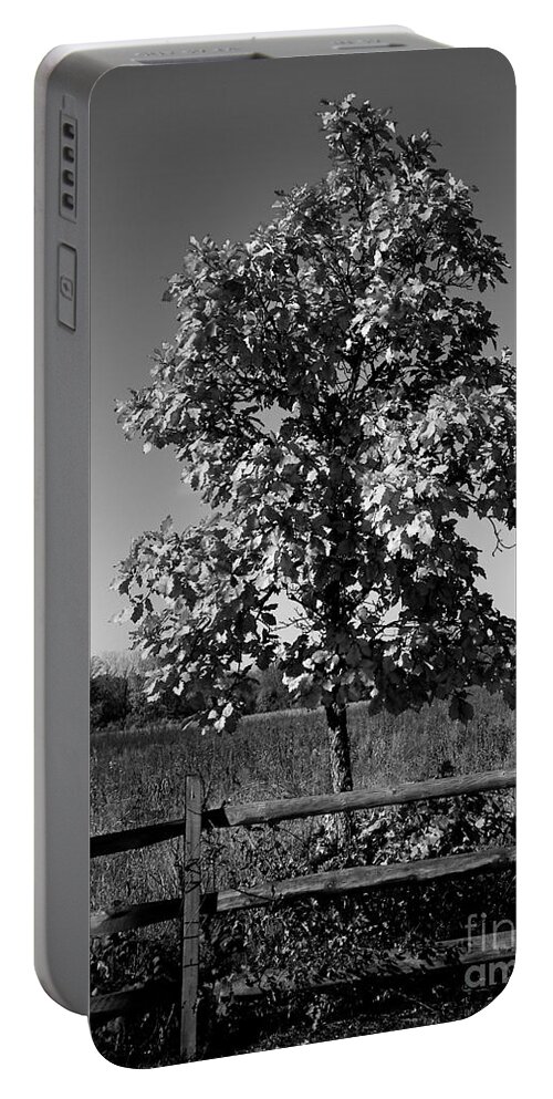 Tree Portable Battery Charger featuring the photograph Tree and Fence by Frank J Casella