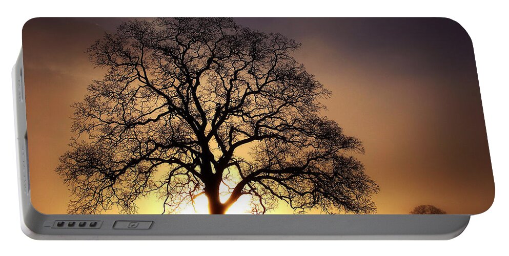 Tree Portable Battery Charger featuring the photograph Tree At Sunrise In The Fog by Robert Woodward
