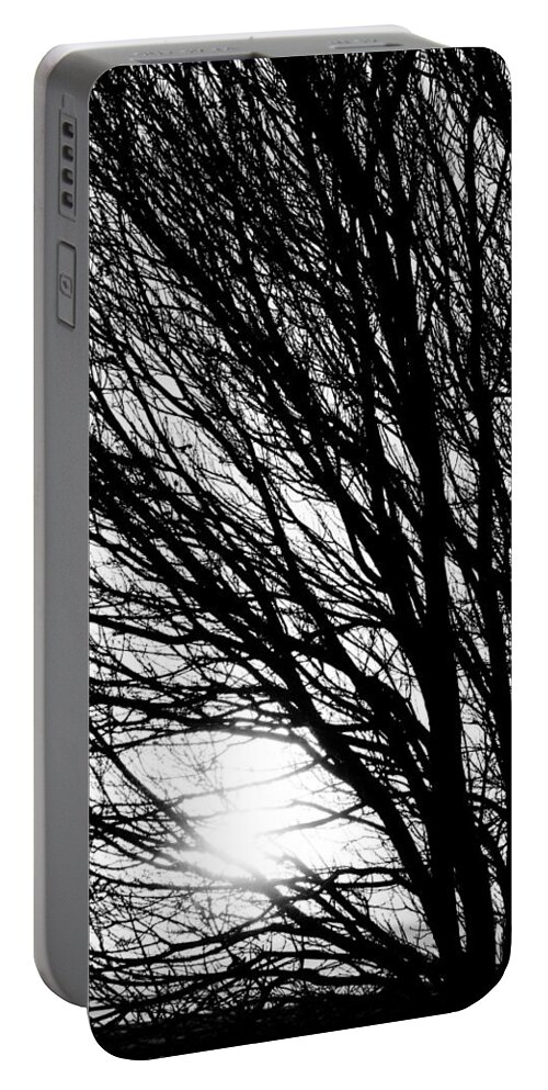 Tree Branches Portable Battery Charger featuring the photograph Tree Branches and Light Black and White by James BO Insogna