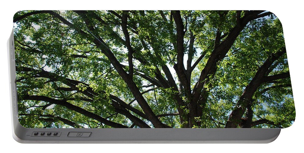 Tree Portable Battery Charger featuring the photograph Tree Canopy Sunburst by Kenny Glover