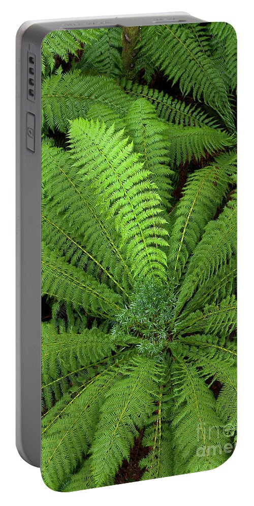 00463448 Portable Battery Charger featuring the photograph Tree Fern in Otway Natl Park by Yva Momatiuk and John Eastcott