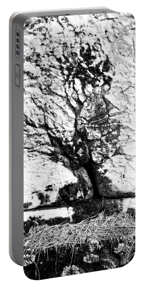 B & W Portable Battery Charger featuring the photograph Tree in Stone by Paul W Faust - Impressions of Light