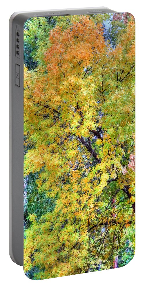 Tree Portable Battery Charger featuring the photograph Tree on Fountain Creek by Lanita Williams