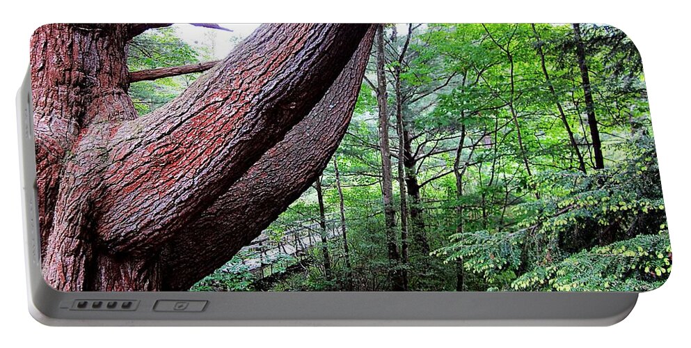 Tree Portable Battery Charger featuring the photograph Tree Path by MTBobbins Photography