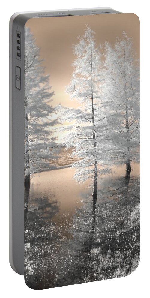 Tree Portable Battery Charger featuring the photograph Tree Reflections by Jane Linders