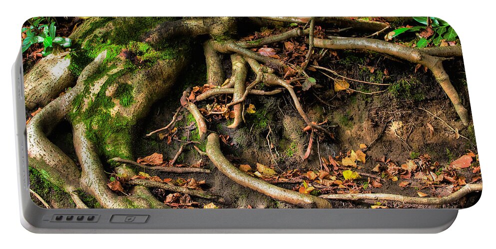 Nature Portable Battery Charger featuring the photograph Tree roots escaping by Simon Bratt