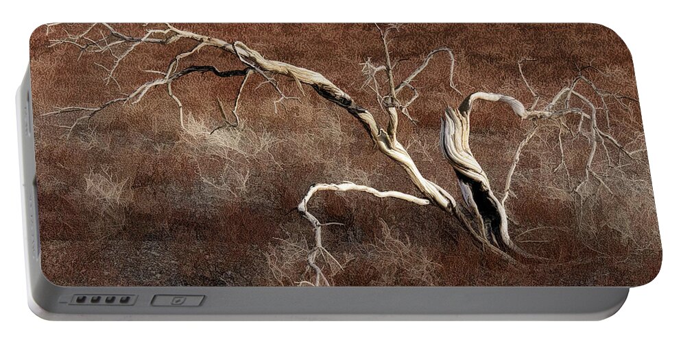 Tree Skeleton Portable Battery Charger featuring the photograph Tree Skeleton by Wes and Dotty Weber