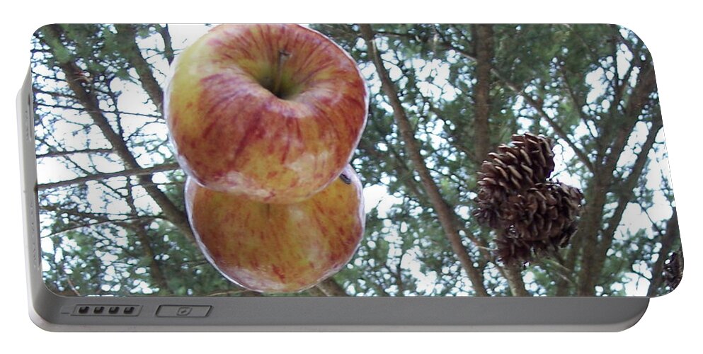 Tree Portable Battery Charger featuring the photograph Tree Spiral by Michelle Miron-Rebbe