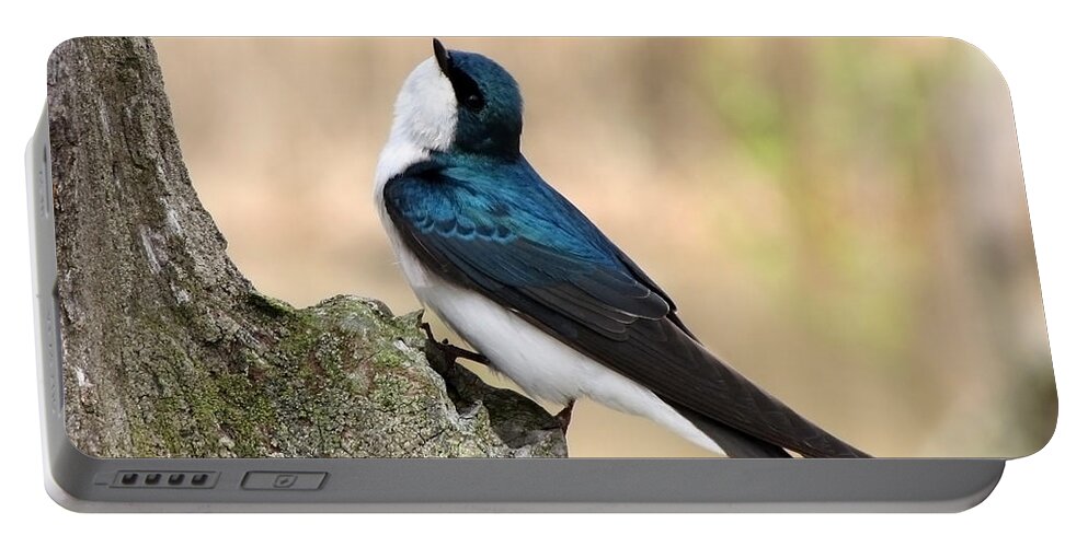 Tree Swallow. Swallow Portable Battery Charger featuring the photograph Tree Swallow by Ann Bridges