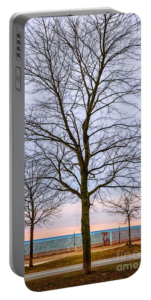 Tree Portable Battery Charger featuring the photograph Trees at the Boardwalk in Toronto by Elena Elisseeva