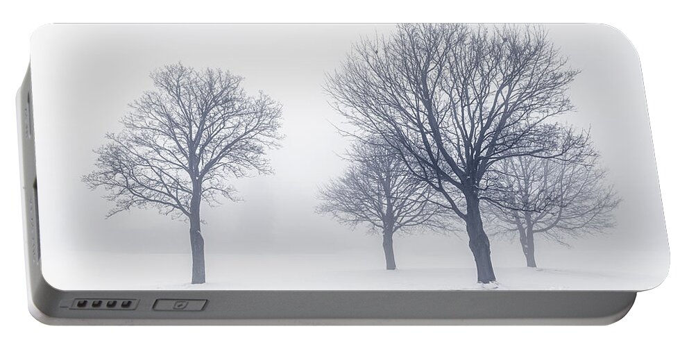 Trees Portable Battery Charger featuring the photograph Trees in winter fog 2 by Elena Elisseeva