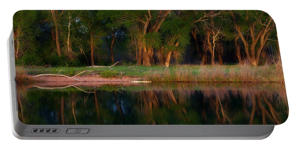 Reflection Portable Battery Charger featuring the photograph Trees of the Lake by Darren White