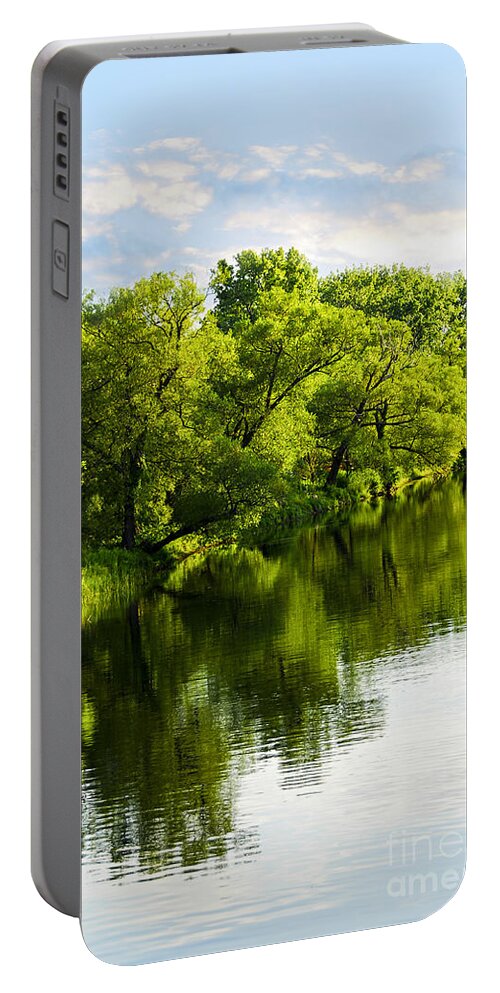 Trees Portable Battery Charger featuring the photograph Trees reflecting in river by Elena Elisseeva