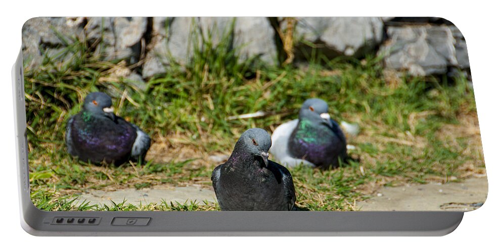 Europe Portable Battery Charger featuring the photograph Tres Pigeons by Matt Swinden