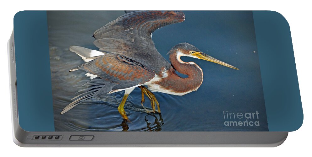 Tricolor Heron Portable Battery Charger featuring the photograph Tricolor Heron by Savannah Gibbs