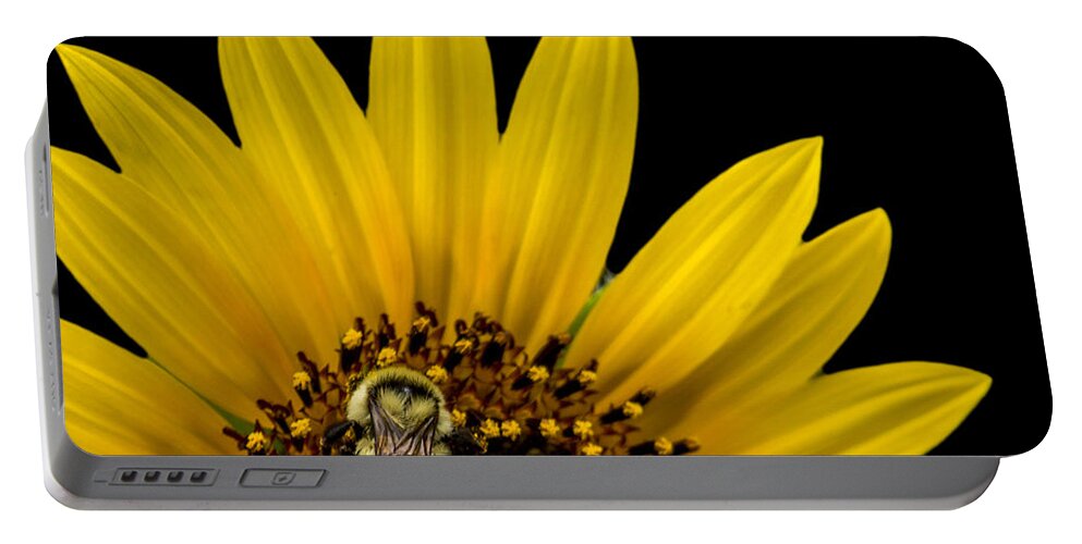 Sunflower Portable Battery Charger featuring the photograph Tricolored Bumble Bee on a Sunflower by Ernest Echols