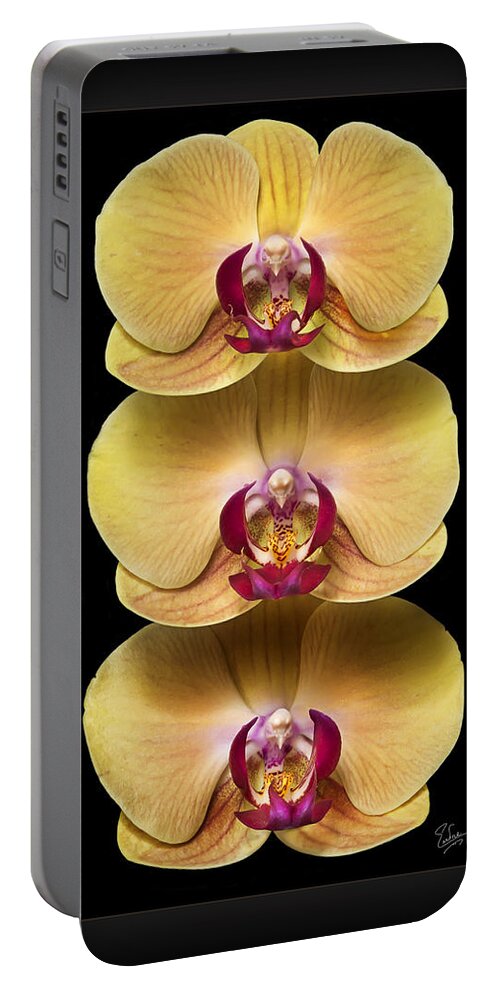 Flower Portable Battery Charger featuring the photograph Trio of Orchids by Endre Balogh