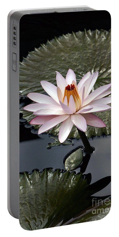 Tropical Nymphaea Portable Battery Charger featuring the photograph Tropical Floral Elegance by Byron Varvarigos
