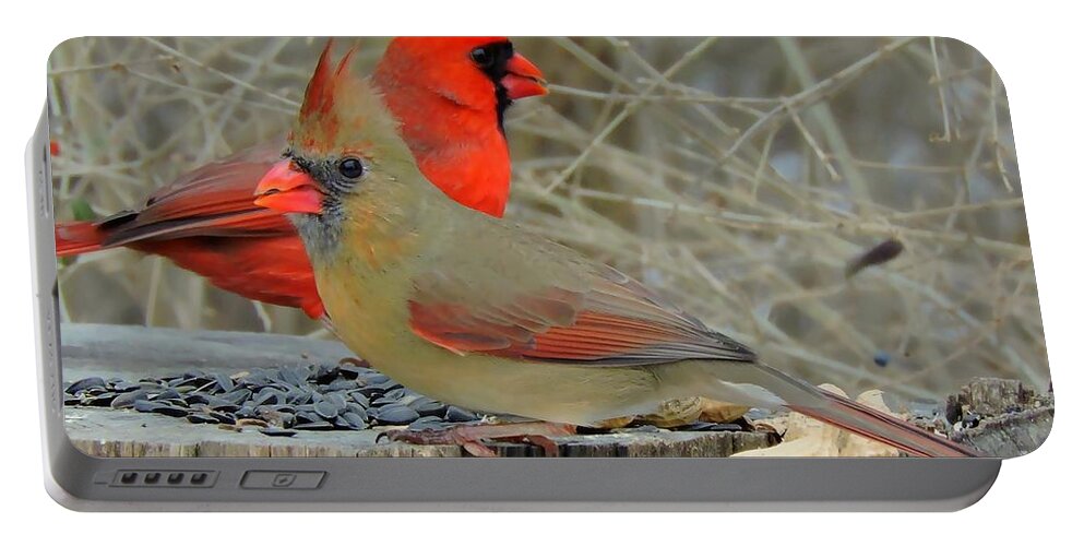 Cardinals Portable Battery Charger featuring the photograph True Love by Tami Quigley