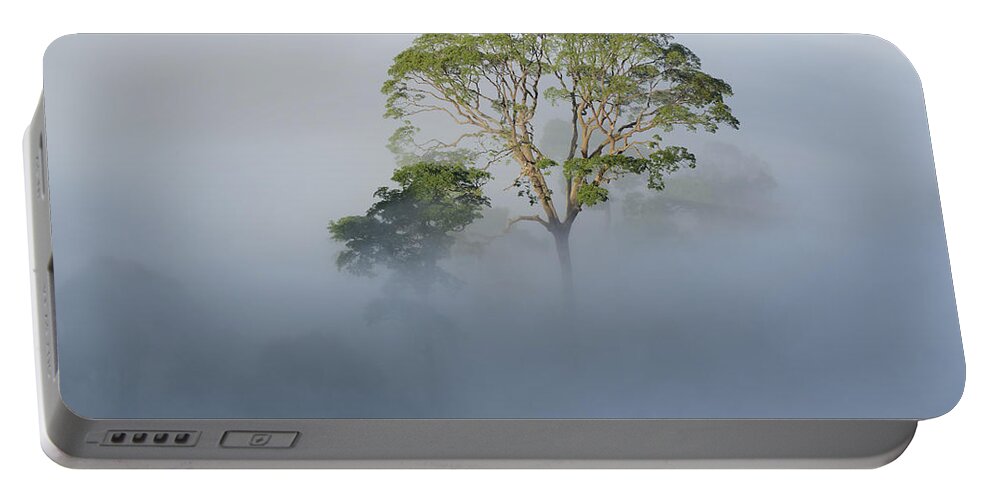Ch'ien Lee Portable Battery Charger featuring the photograph Tualang Tree Above Rainforest Mist by Ch'ien Lee