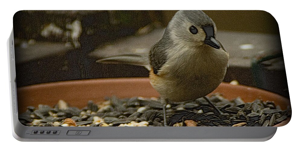 Bird Portable Battery Charger featuring the photograph Tufted Titmouse 2 by Sandra Clark