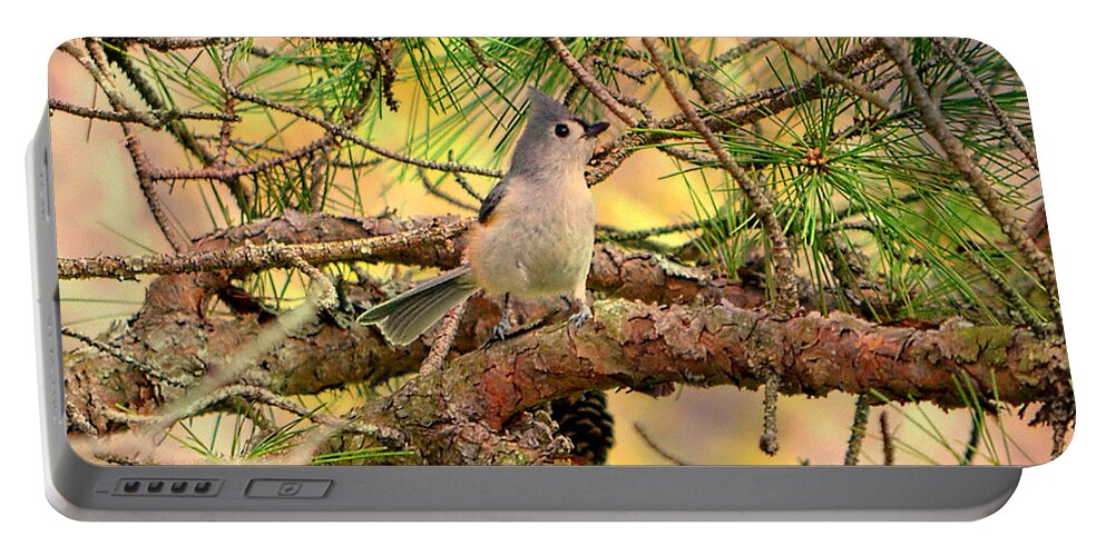 Bird Portable Battery Charger featuring the photograph Tufted Titmouse by Deena Stoddard