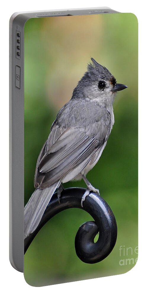 Birds Portable Battery Charger featuring the photograph Tufted Titmouse by Kathy Baccari