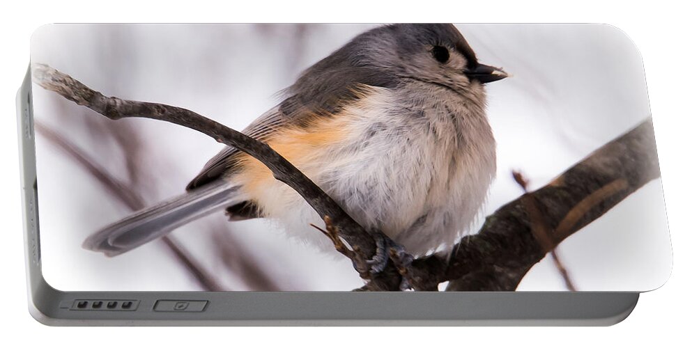 Tufted Titmouse Portable Battery Charger featuring the photograph Tufted Titmouse by Ronald Grogan