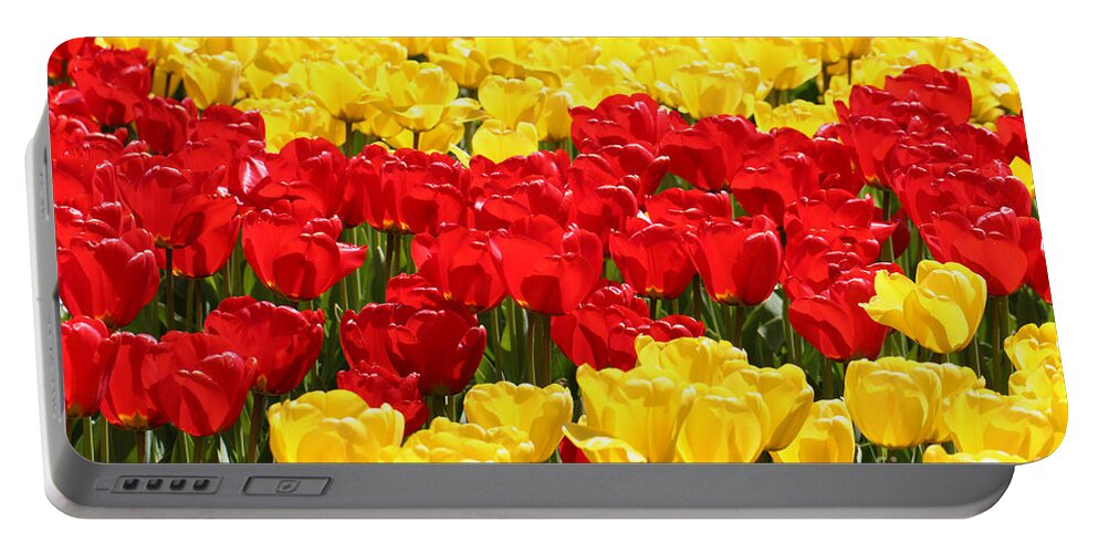 Tulip Portable Battery Charger featuring the photograph Tulip Field by Tap On Photo