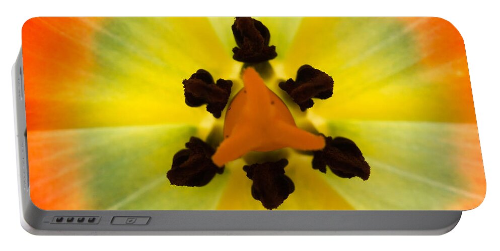Tulip Portable Battery Charger featuring the photograph Tulip by Patricia Schaefer