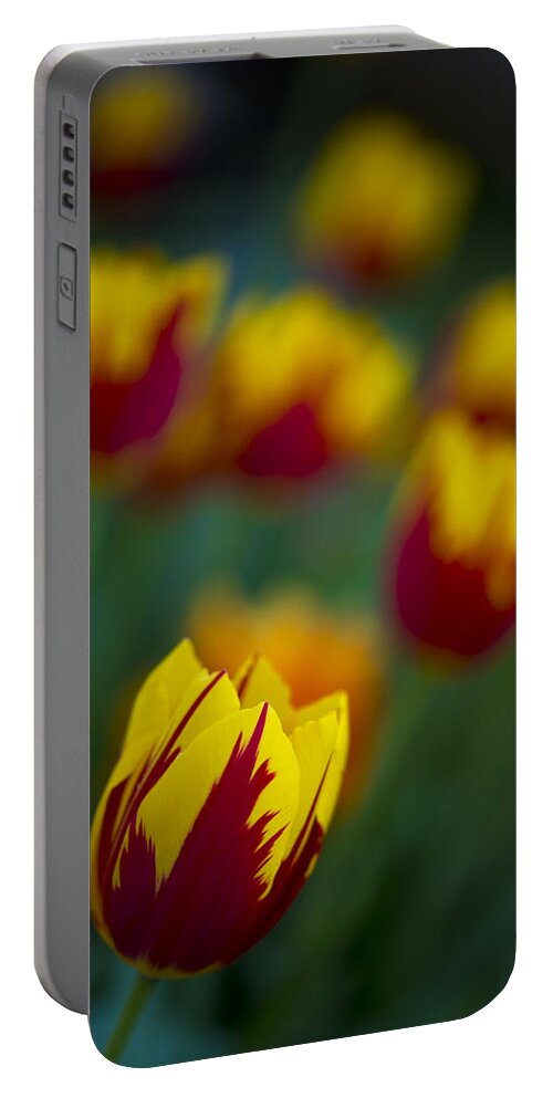 Tulips Portable Battery Charger featuring the photograph Tulips by Chevy Fleet