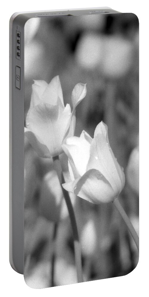 Tulip Portable Battery Charger featuring the photograph Tulips - Infrared 13 by Pamela Critchlow