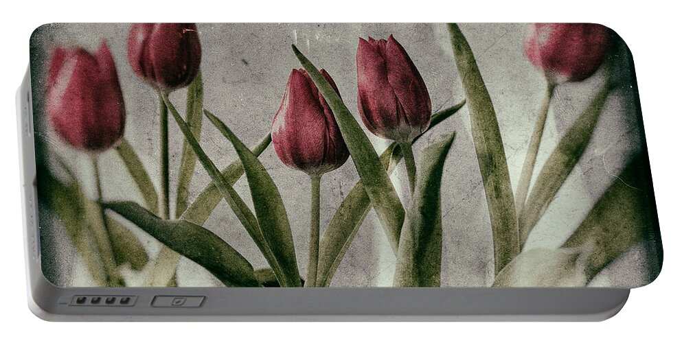 Tulip Portable Battery Charger featuring the photograph Tulips by Nigel R Bell