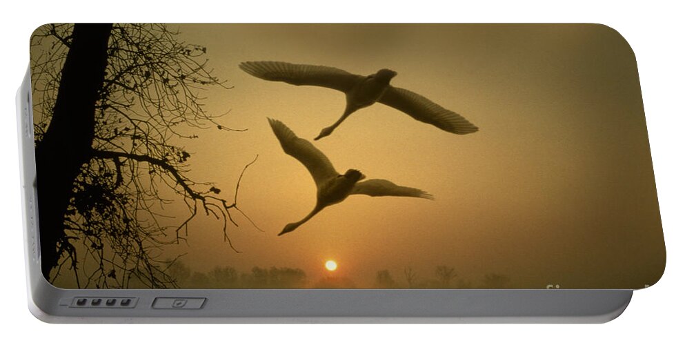 Animal Portable Battery Charger featuring the photograph Tundra Swans In Flight by Ron Sanford