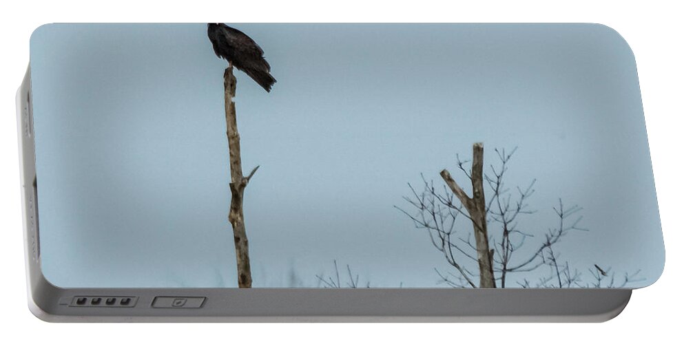 Turkey Vulture Portable Battery Charger featuring the photograph Turkey Vulture by Holden The Moment